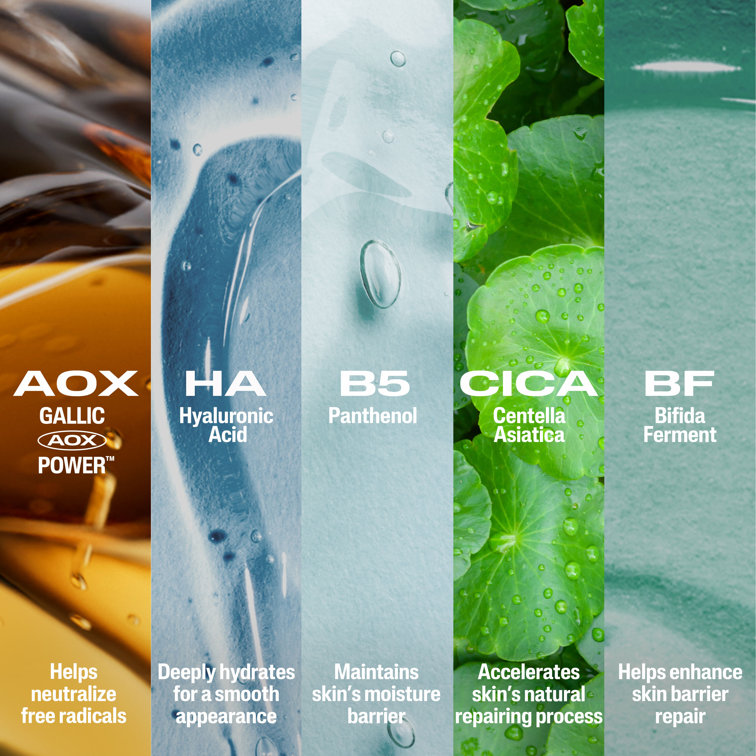 Repair & Renew Serum